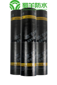 3mm SBS Waterproof Membrane PE Film Surface PY Reinforced