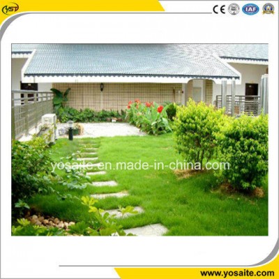 High Strength Anti-root Garden Waterproofing SBS Modified Bitumen Membranes