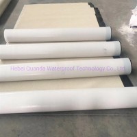 Underground Basement Constructions Pre-Applied High Polymer EVA HDPE Self-Adhesive Waterproof Membrane