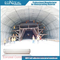 Basement HDPE Pre-Applied Self-Adhesive Waterproof Membrane