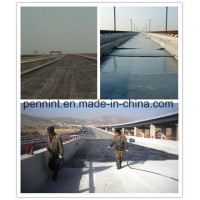 Liquid Js Waterproof Coating Polymer Cement Underground Coating