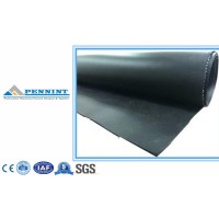 Civil Material/ Roofing Material/ Construction Material/ HDPE Self-Adhering Waterproof Membrane for Tunnel/ Pool/ Park/ Dam