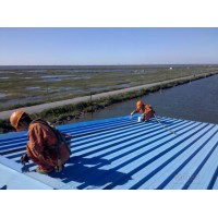 Metal Roofing Special Used Waterproof Coating with UV-Anti